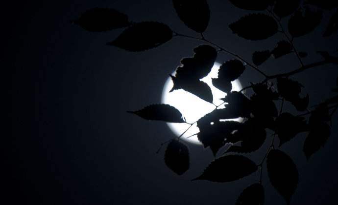 关于中秋的短句和祝福语,关于中秋节的祝福语和诗词