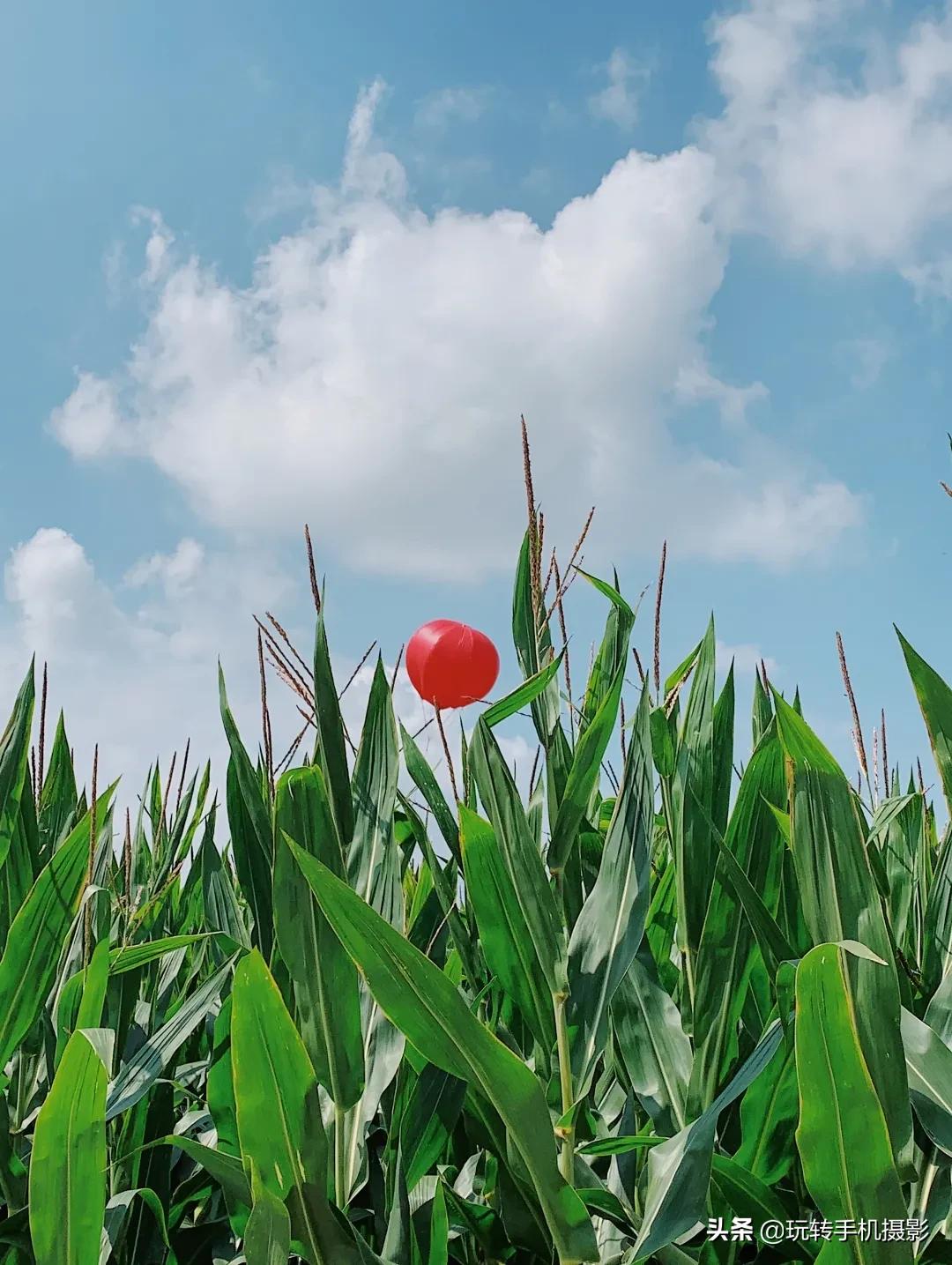 手机摄影有哪些魅力和意义,手机摄影为什么很受欢迎