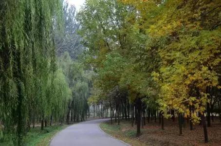 北京这38个森林公园您先收藏了!定个小目标,有空儿玩个遍!