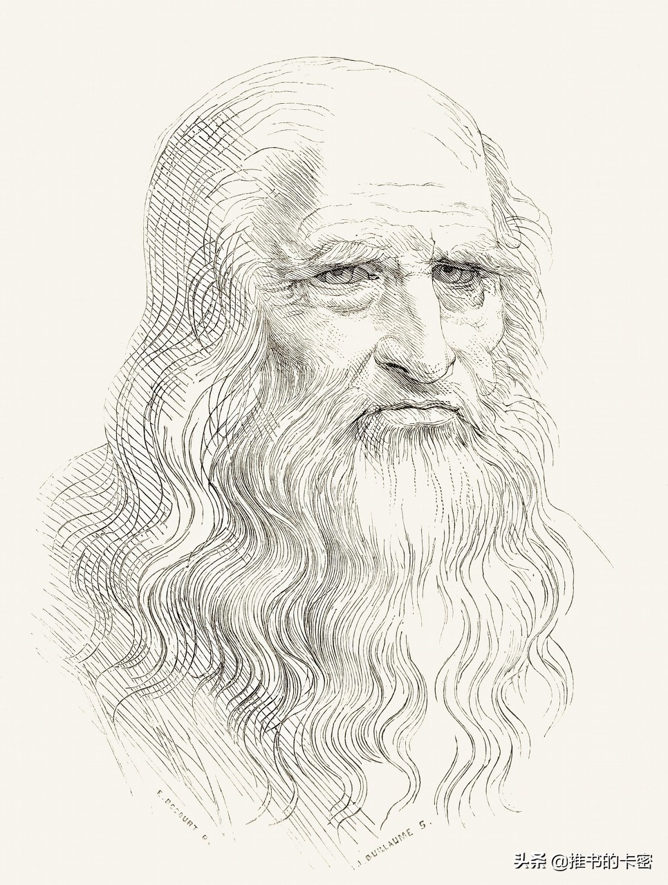 「课本辟谣」达芬奇画鸡蛋，旅鼠跳海自杀，你知道是假的吗？