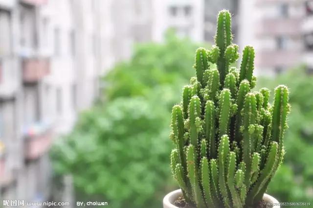 真假难辨的生活常识,真假生活小常识