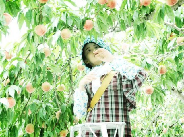 苍井优12部经典电影:眉如远山含黛,目似秋水横波