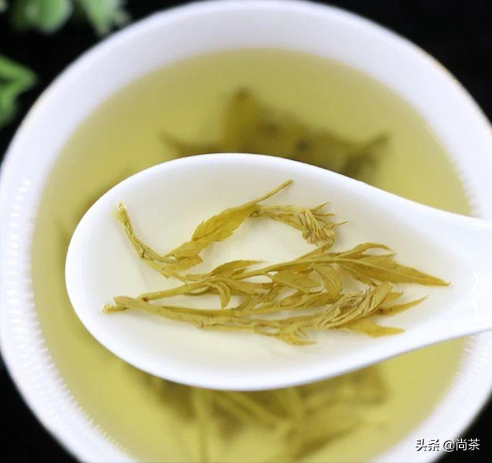 龙须茶大名叫什么茶好听,龙须茶是什么茶种