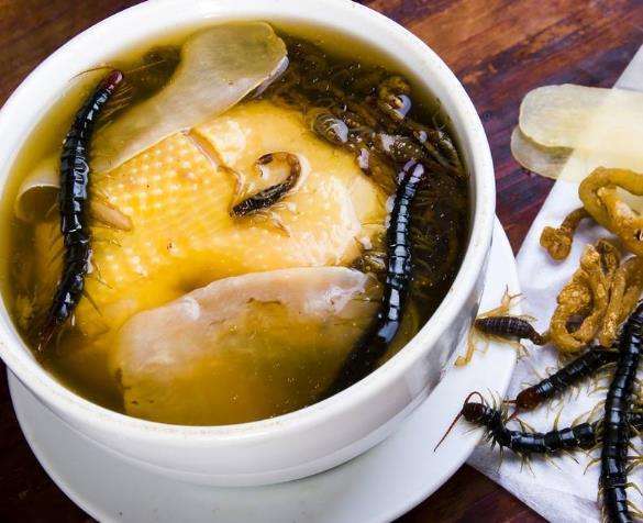 世界上最毒的蜈蚣排行,毒蜈蚣十大排行榜