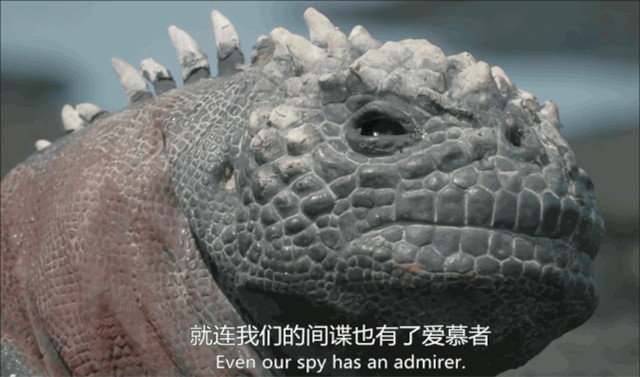 bbc有多有钱,bbc多有钱