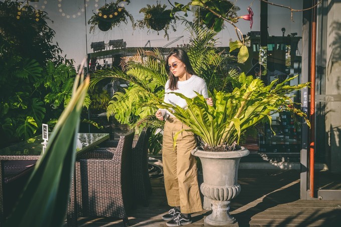 台湾环岛14天,台湾环岛8日游性价比高吗