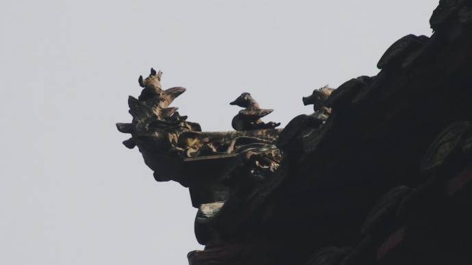 《太平广记》志怪故事：猿夫人的袁氏物语