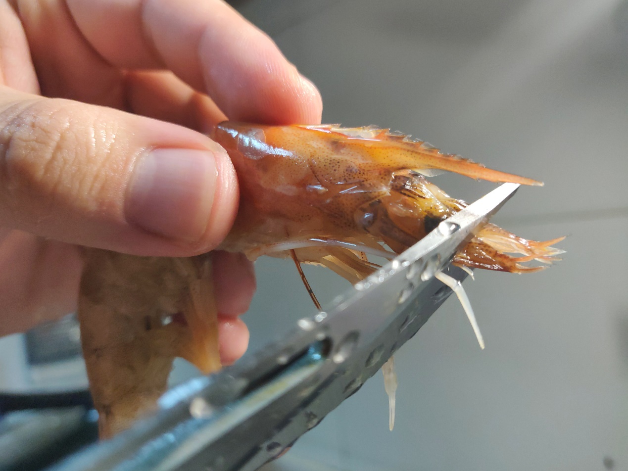 虾的10种油焖大虾最佳吃法,虾的10种最佳吃法油焖大虾的做法