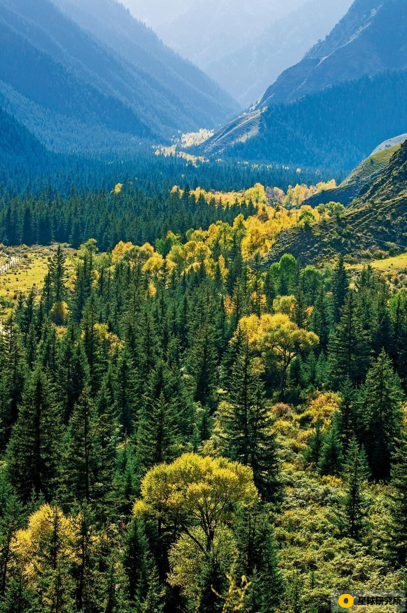 甘肃荒凉风景视频,甘肃荒凉的美景