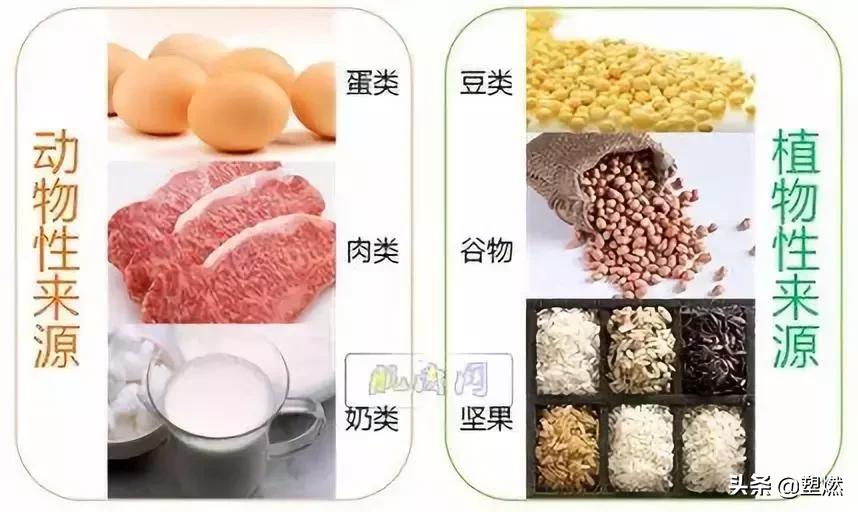 健身喝乳清蛋白还是酪蛋白,健身补剂套餐白金乳清蛋白粉