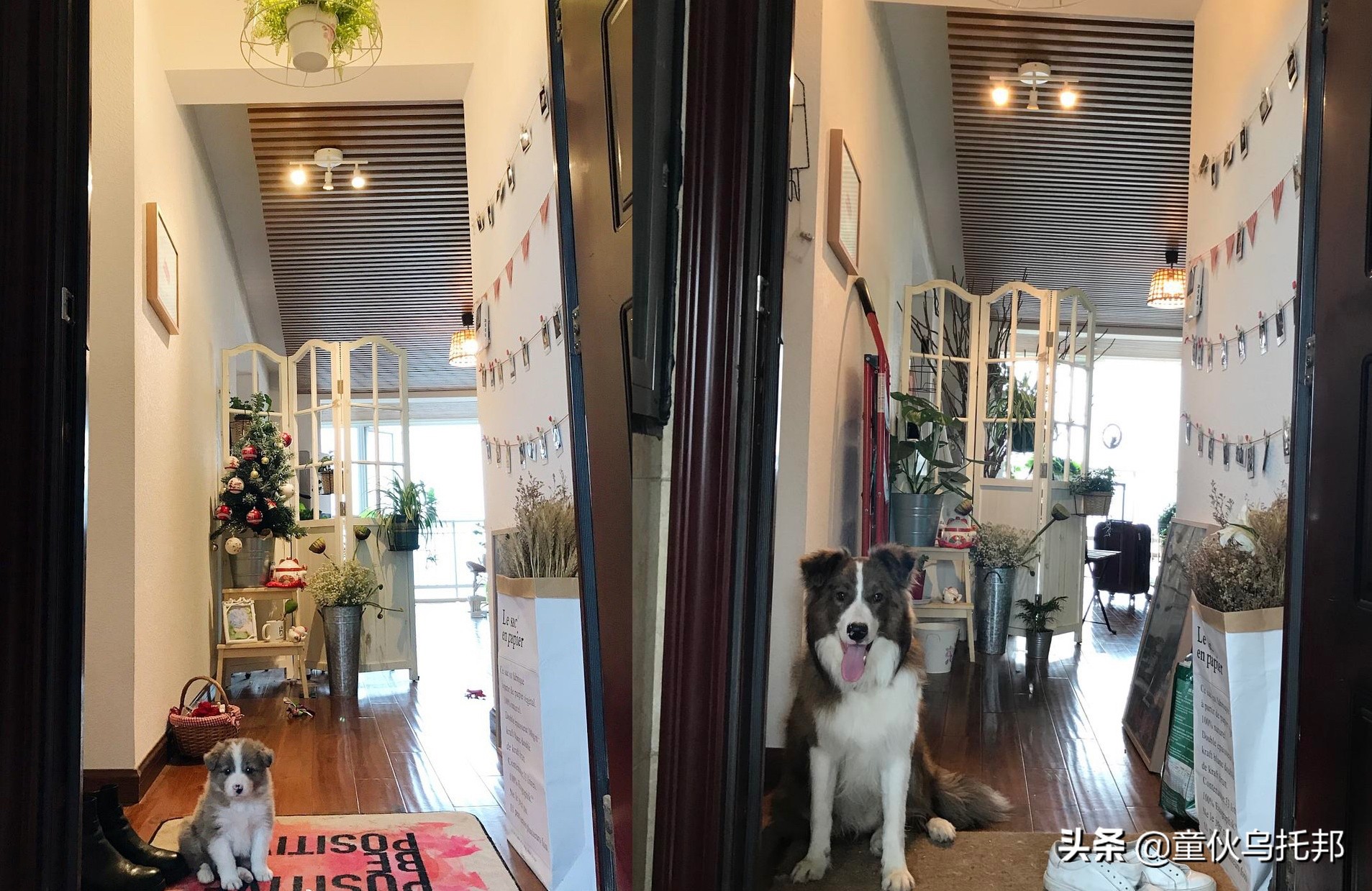 2021人间值得,2019人间值得