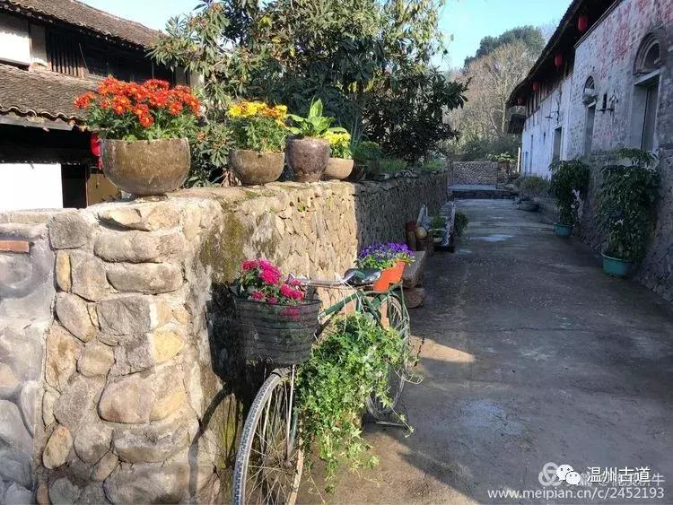 岩坦镇网红打卡点,岩坦镇景点