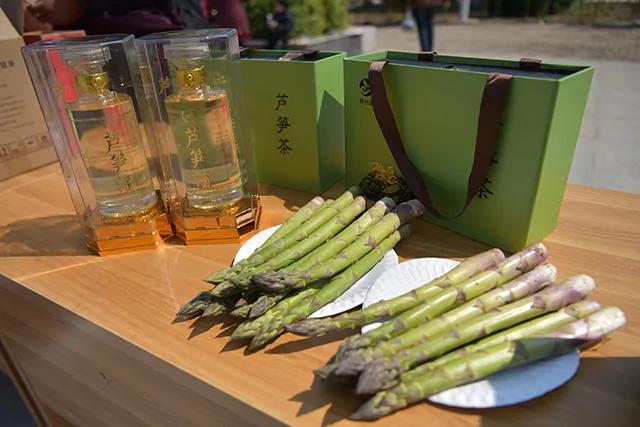 河南上蔡:诞生“芦笋王”单棵拍卖300元