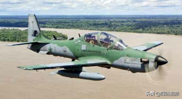 亚马逊巨嘴鸟,巨型巨嘴鸟