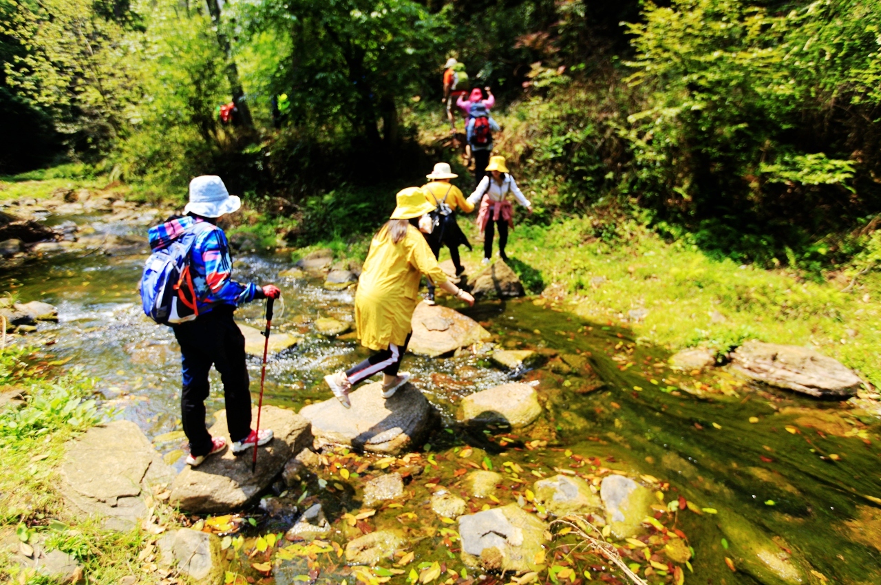 金秋野花沟在哪里,金秋野花沟照片
