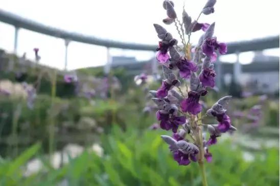 浣宠兘powershotg5xmarkii缂虹偣,浣宠兘powershotg5xmarkiii