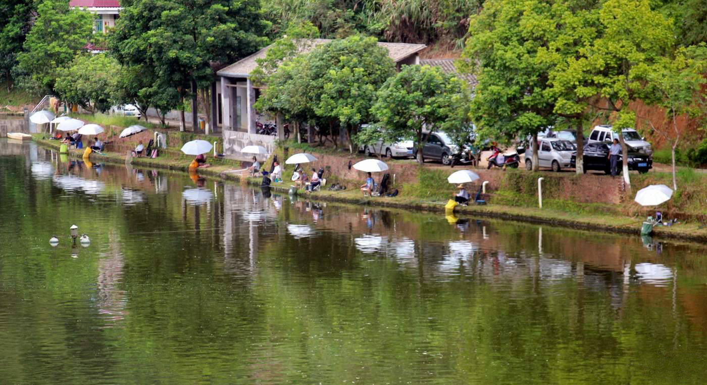 浮漂信号明显但是提竿不中鱼,浮漂没动作提竿却锚到了