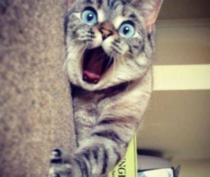 降温广东降水回南天预报图,断崖式降温一扫回南天