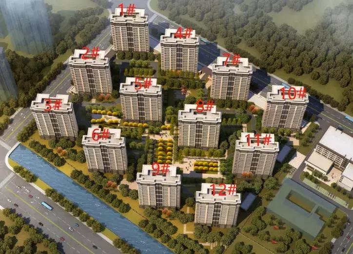 楼市抢房最新消息,楼市回暖出现万人抢房