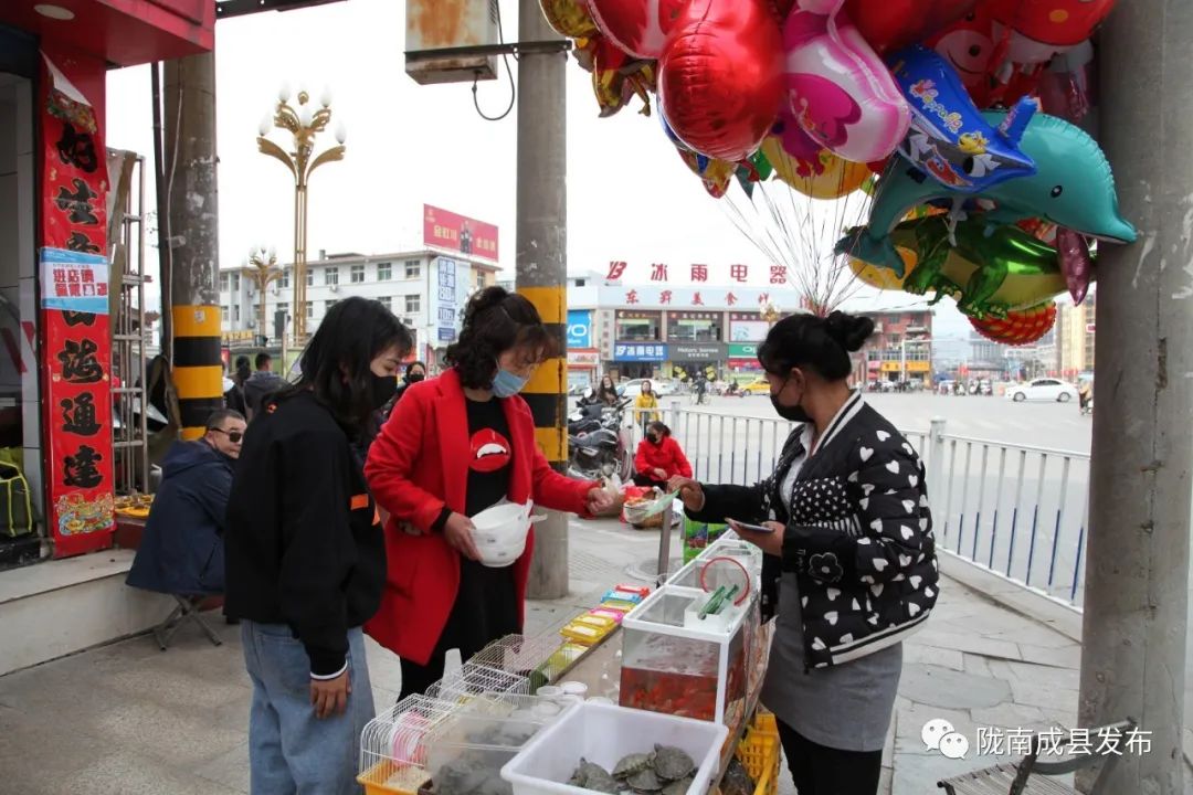 重逢——复苏的成州