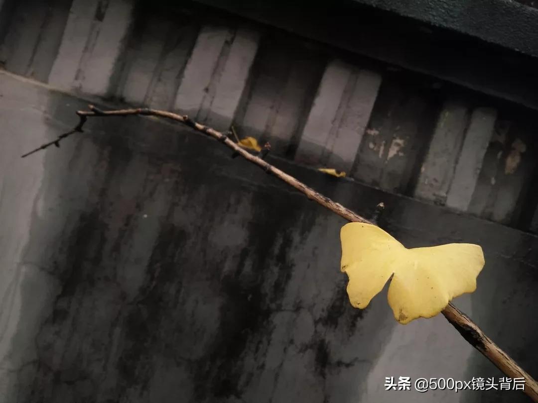 摄影课堂第一讲,每日摄影小课堂