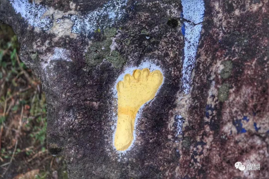 不丹演变史,不丹简史