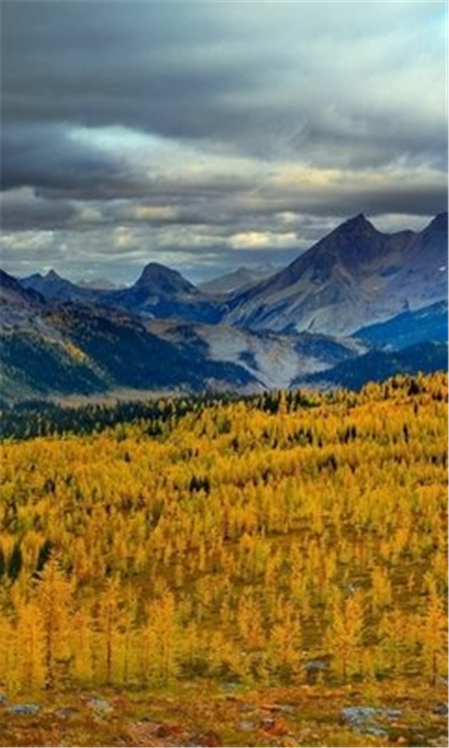 高清壁纸8k风景壁纸,风景壁纸超清手机壁纸