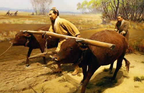 回族不吃猪肉，满族不吃狗肉，那汉族不吃啥肉？其实很多人淡忘了