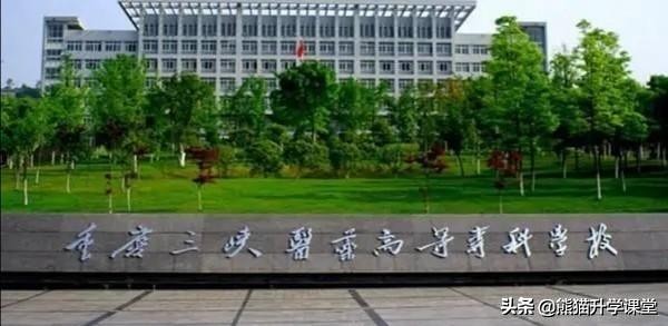 重庆排名前十的公办专科医学院校,重庆中医药大学2022年招生