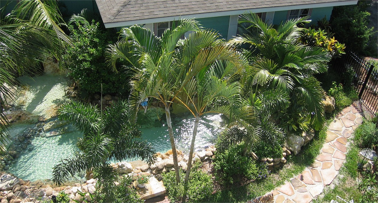 阿联酋沙漠和城市,阿联酋中国沙漠