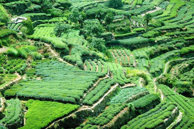 泉州市安溪县楼盘价格,泉州安溪新楼盘价格一览表