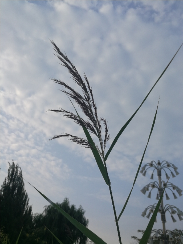 农村记忆散文,农村老水井散文