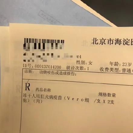 我家猫送亲戚了准备再养一只猫,给我家猫新交了一个嘚瑟的朋友