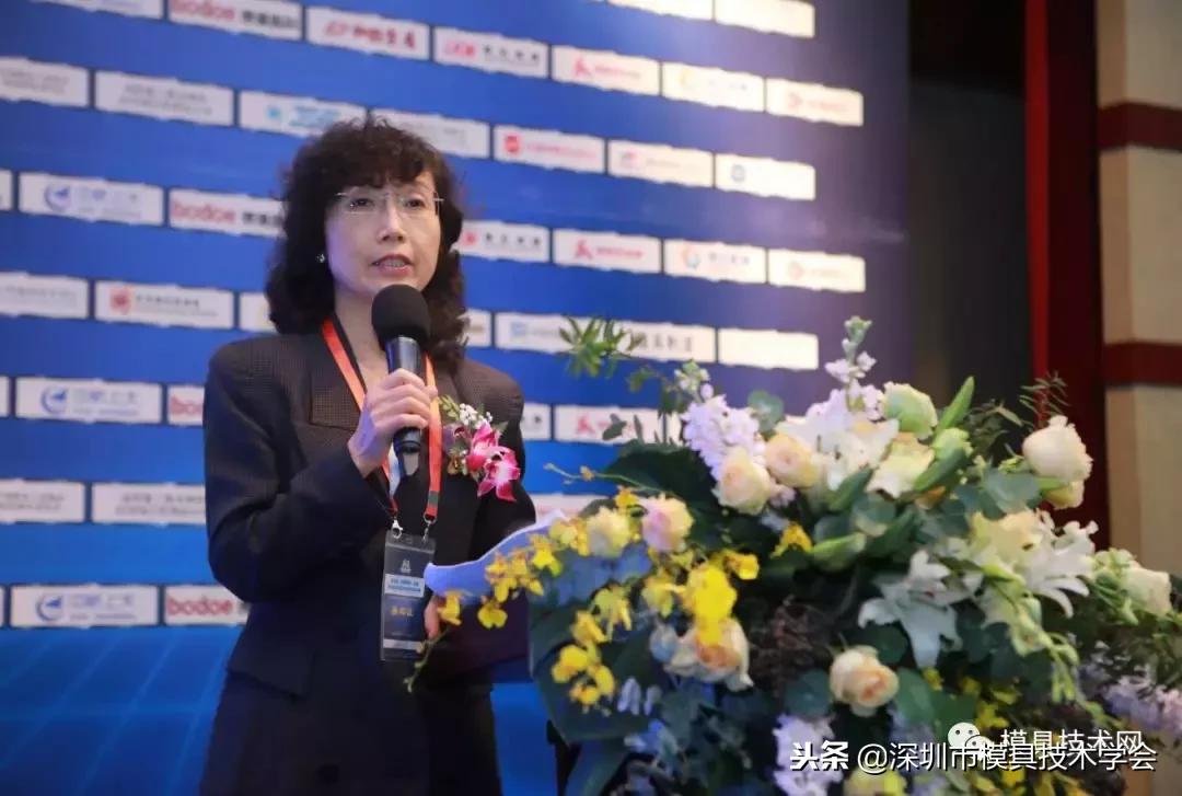 第九届钢铁合作发展交流高峰论坛,第九届钢铁合作发展高峰论坛