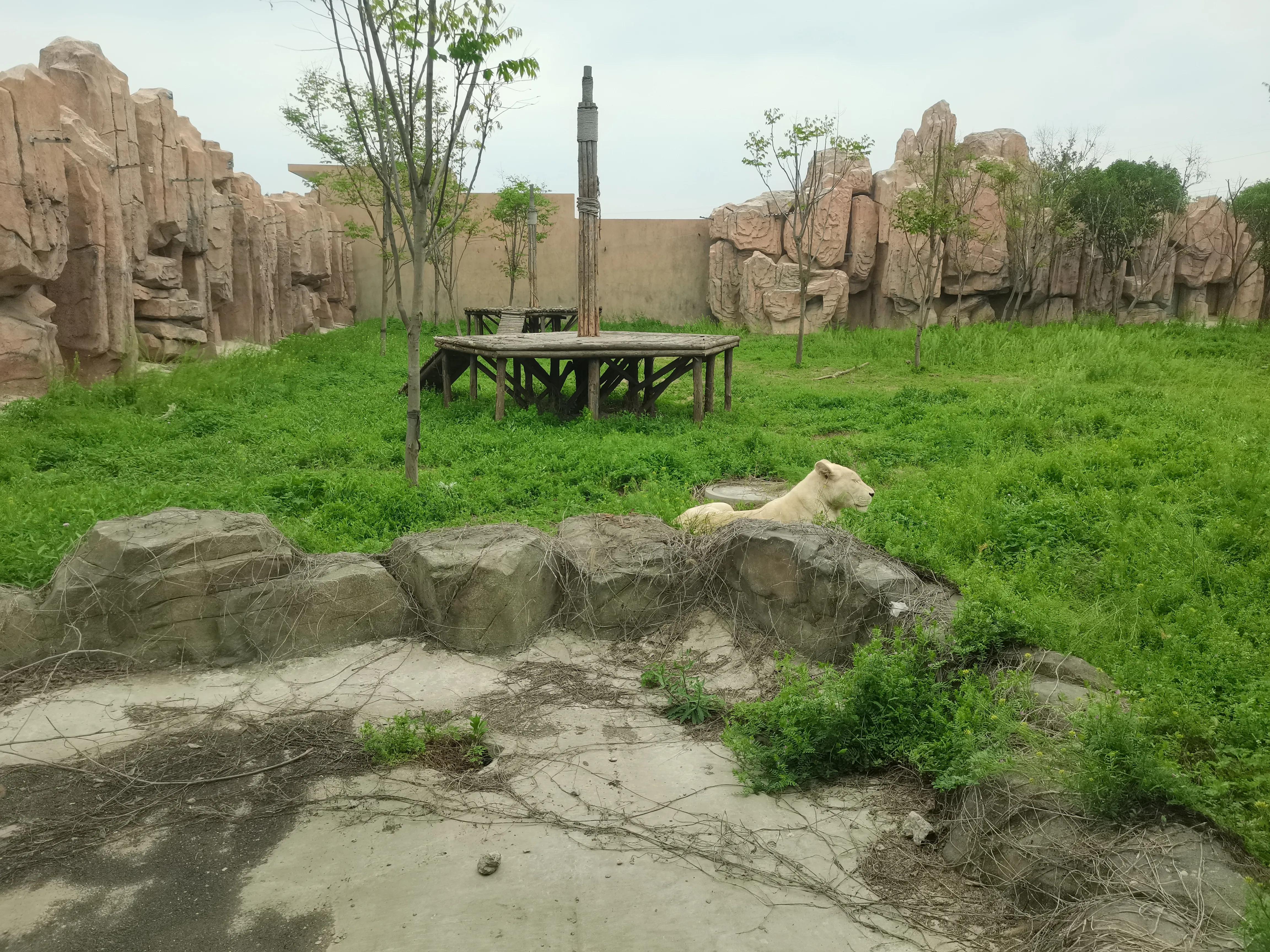 济南野生动物园和宿州野生动物园,宿州野生动物园到宿州皇藏峪