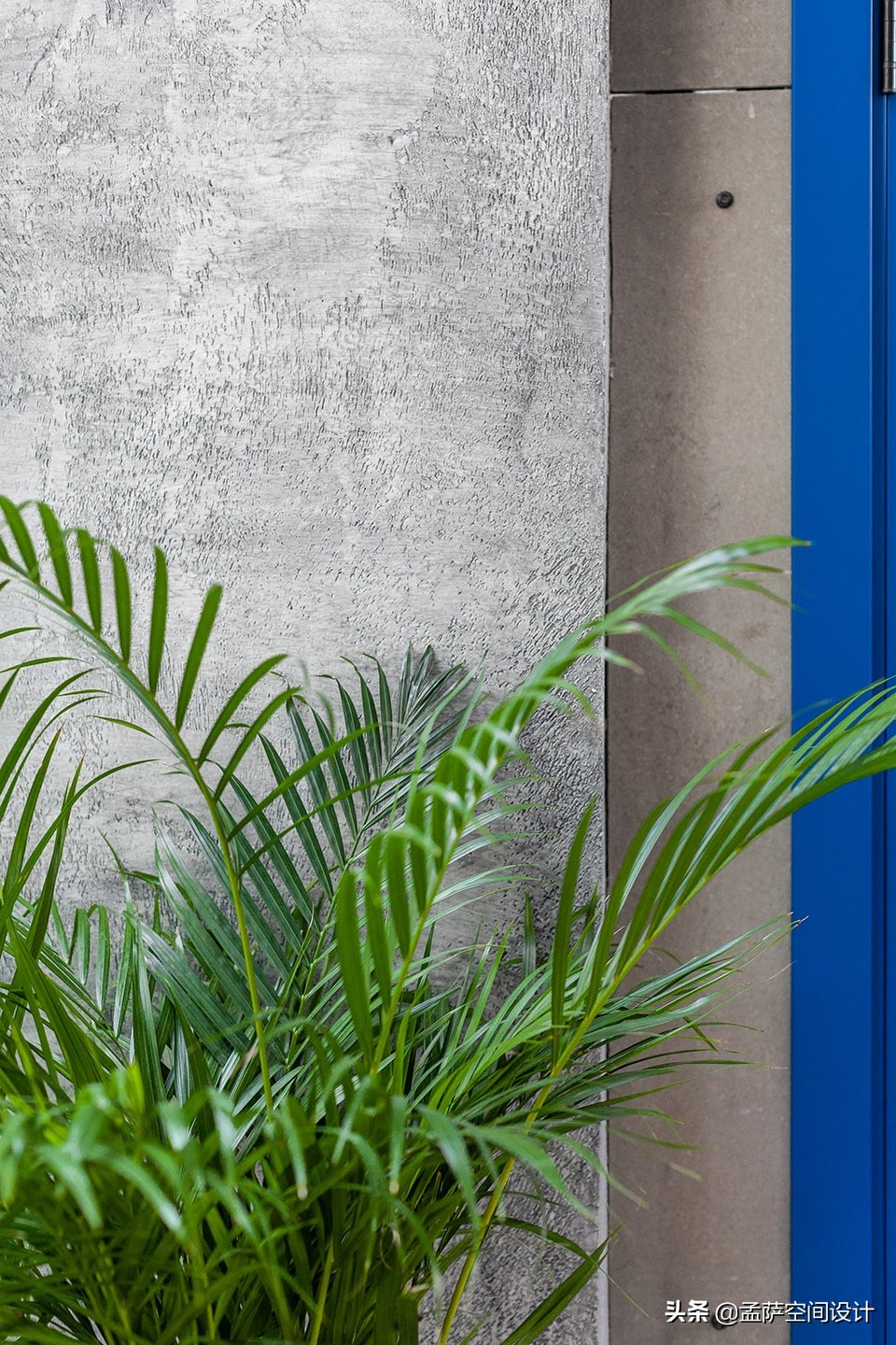 鑾柉绉戦鍘呯殑鐗硅壊,fanfood椁愬巺