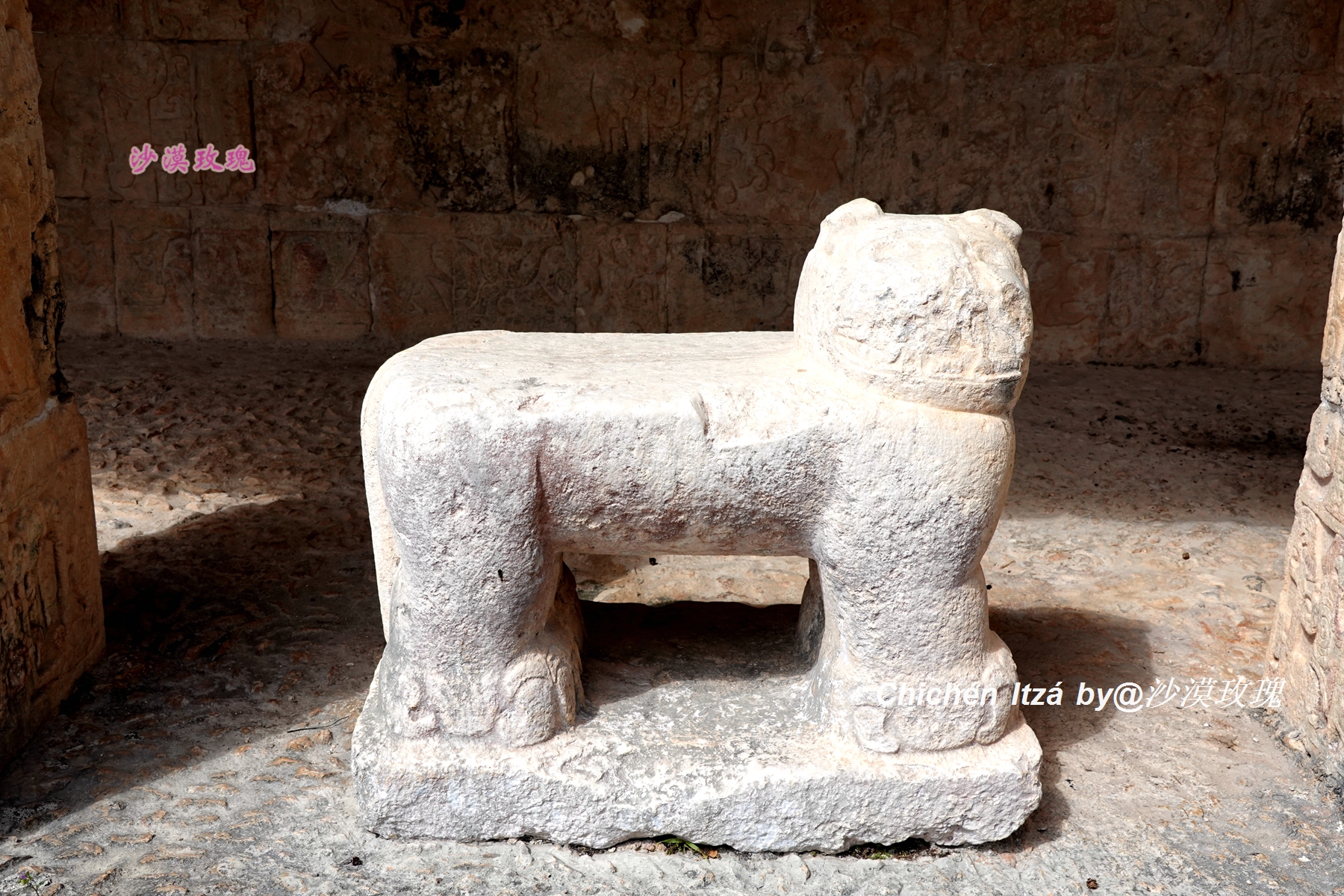 最血腥的足球比赛,足球最血腥的一场比赛