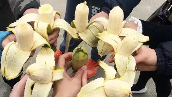 广州隐世峡谷游玩攻略,广州要坐船才能登的小岛