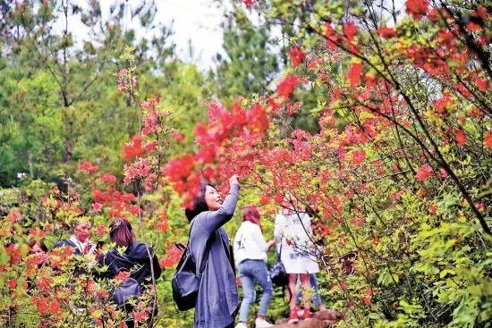 云阳下一个商圈,重庆云阳发展风貌