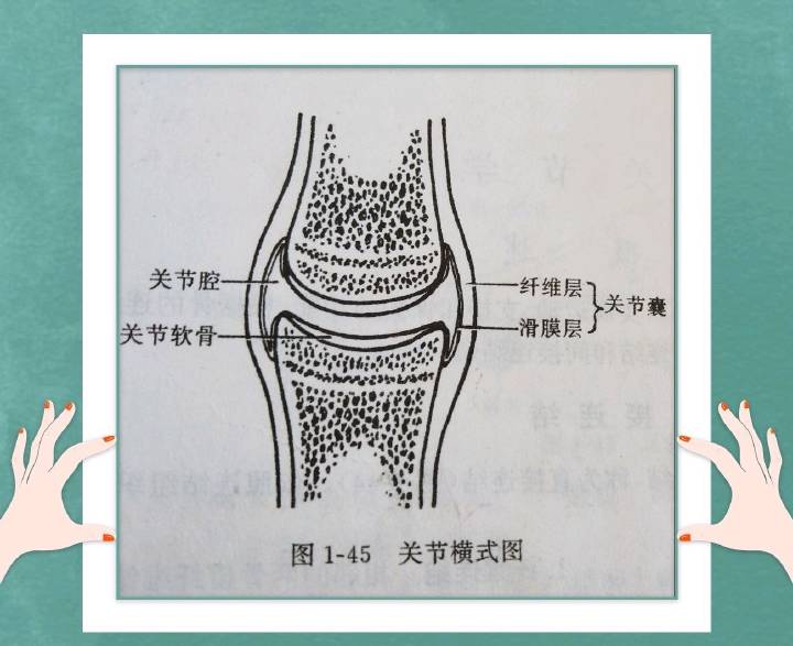 关节磨损引起的关节疼怎么办,运动虽好但也要保护好关节