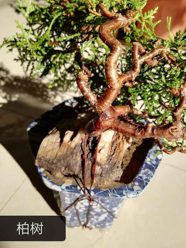 《我们永远是祖国的兵》(二)庆祝“八一”建军节93周年联欢晚会