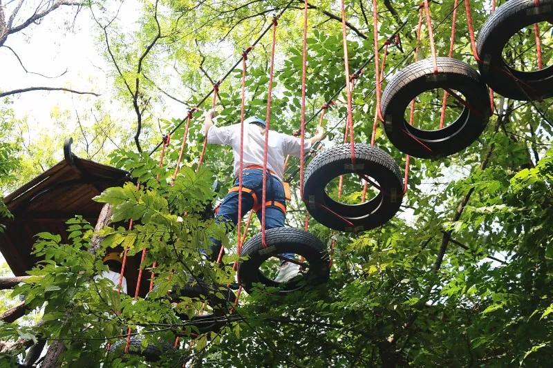 研学旅行孟良崮方案,儿童夏令营研学旅游