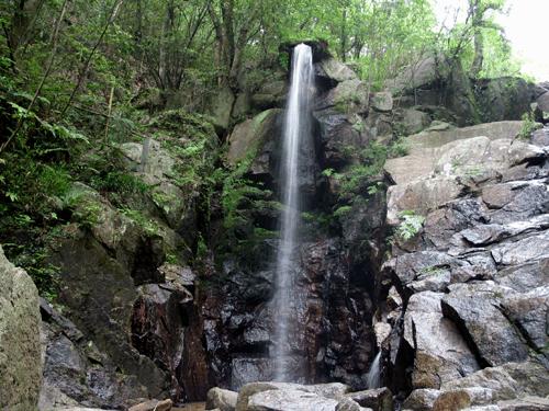 虫草山水画,四季花草山水画作品欣赏