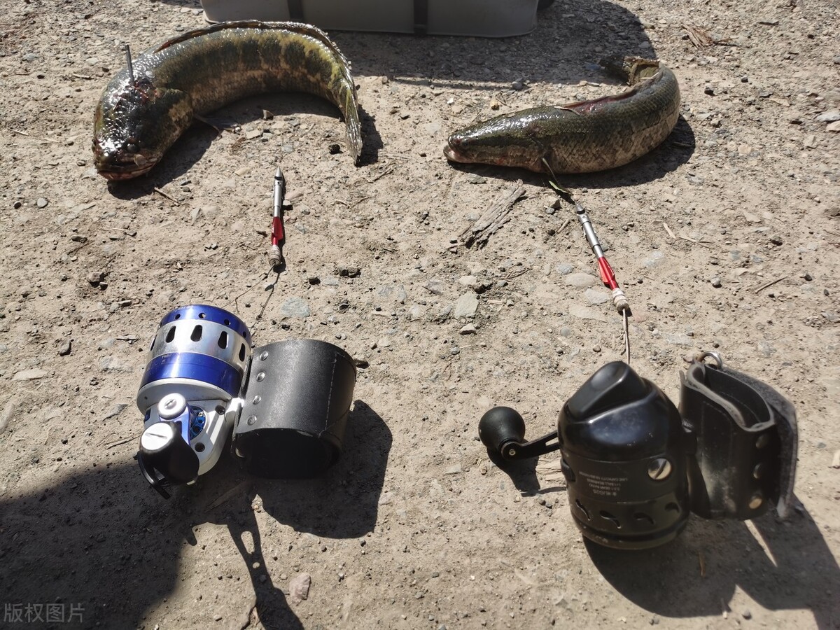 预防非法捕鱼,详细介绍了非法捕鱼类型以及危害