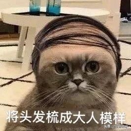 二手房东骗钱可以曝光吗,二手房东租房子的猫腻