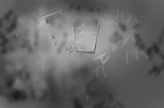 ps梦幻效果教程,ps合成童话主题及过程图