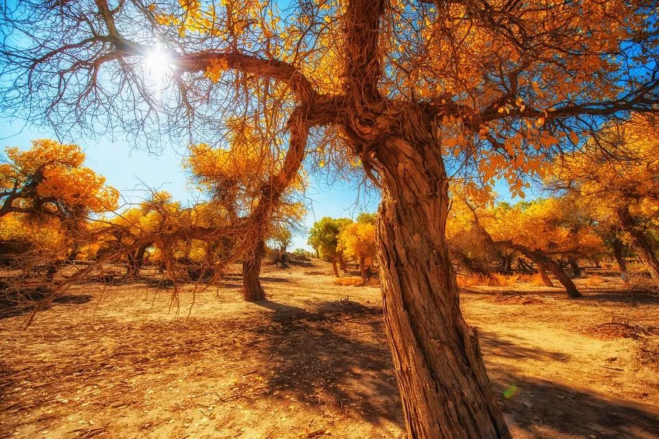 嫁给一个很爱的人是什么体验,喜欢旅行的男人值得嫁吗