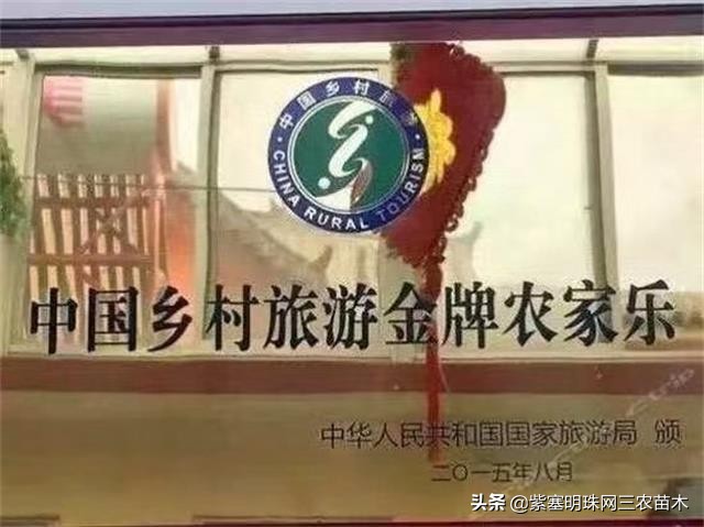 长岛值得去的渔家乐,长岛美丽的海岛