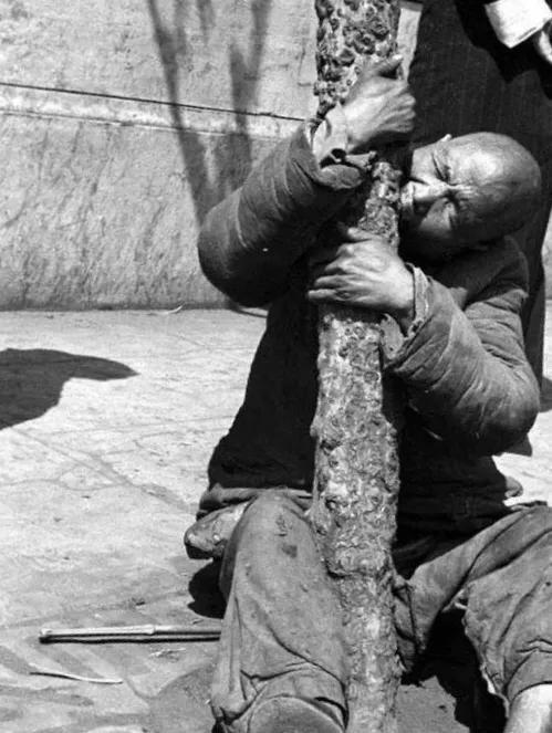 吃饭不忘种稻人,吃饭不忘种田人报恩