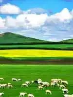 中国各地特产一览表,四川成都特产送人一览表